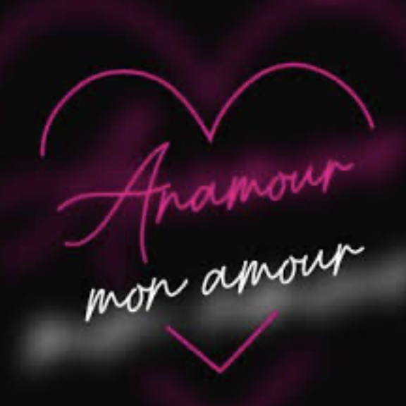Logo ANAMOUR MON AMOUR